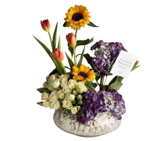 صورة فاز الاشراقه