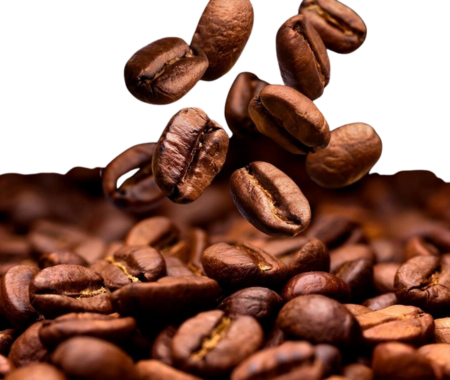 صورة لقسم الروقان