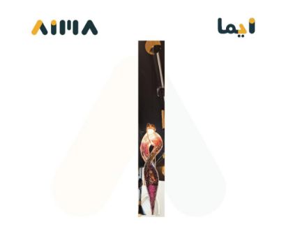 صورة ثريا علاقي ليد ZINSA/7326-1/7W